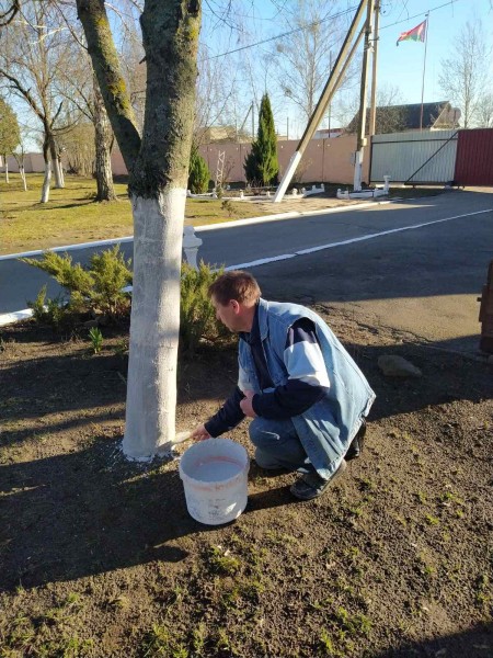 изображение_viber_2025-04-01_10-39-18-251