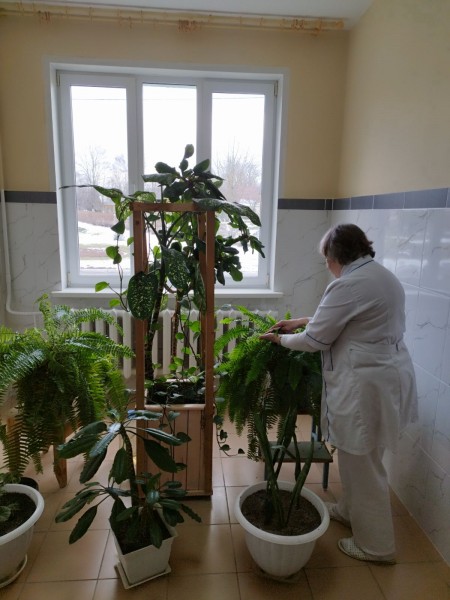 изображение_viber_2025-04-10_10-06-36-591 — копия — копия