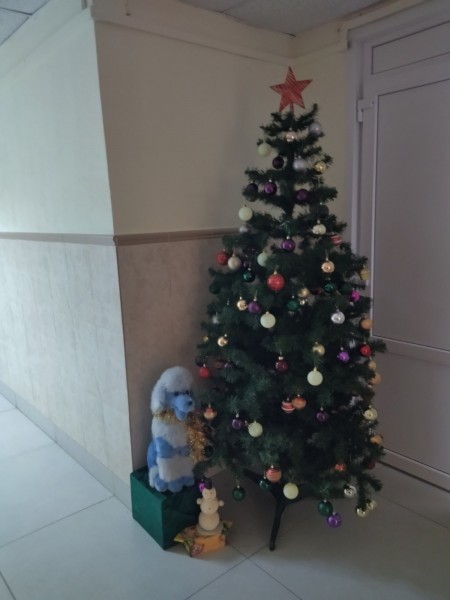 изображение_viber_2025-12-24_14-08-08-834